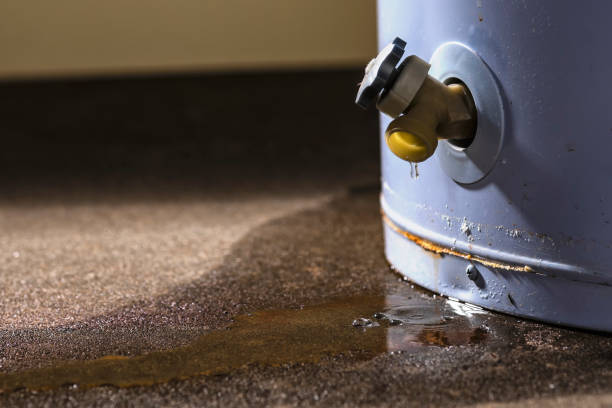 Best Flood damage cleanup  in Cressona, PA