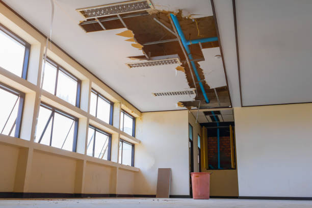 Best Local water damage restoration  in Cressona, PA