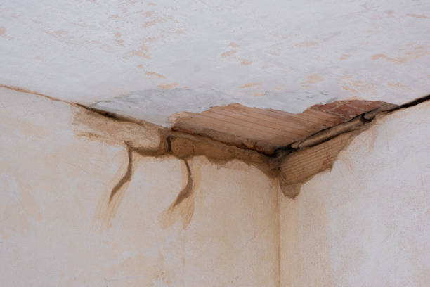 Best Flood restoration services  in Cressona, PA