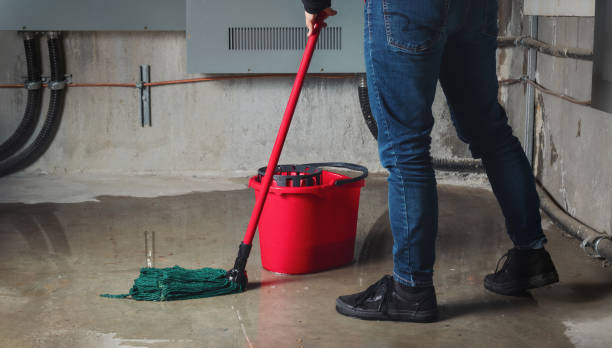 Best Basement water damage restoration  in Cressona, PA
