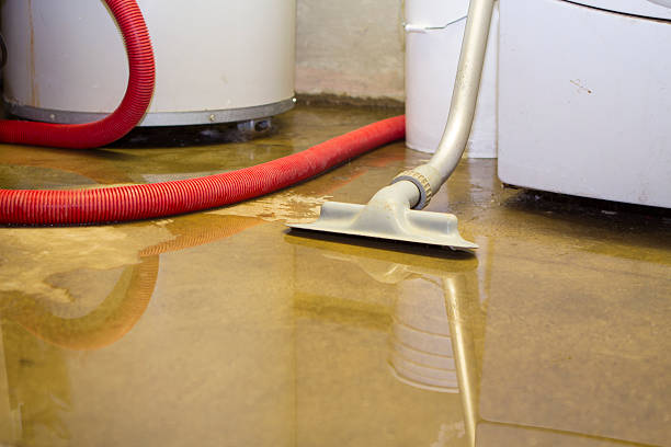 Best 24/7 water damage repair  in Cressona, PA