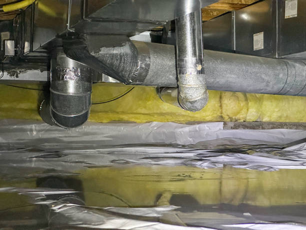 Best Flood damage cleanup  in Cressona, PA