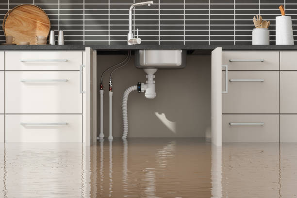 Best Water damage cleanup near me  in Cressona, PA