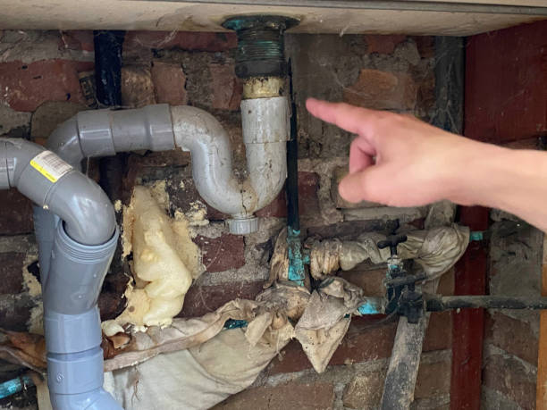 Best Professional water damage repair  in Cressona, PA
