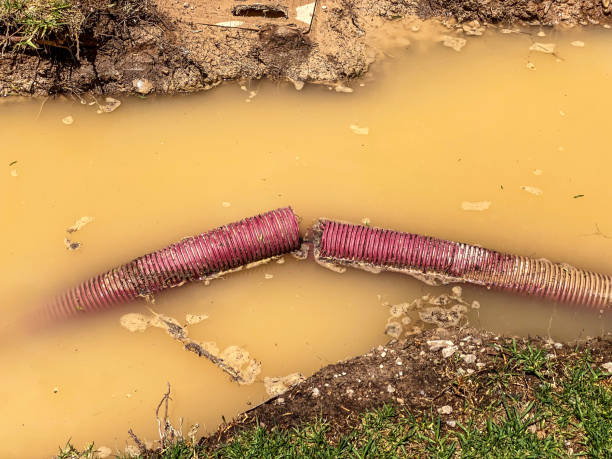 Water damage restoration experts in Cressona, PA
